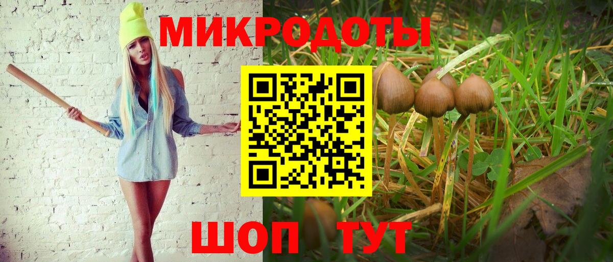 где можно купить наркотик  Псилоцибиновые грибы GOLDEN TEACHER  Псилоцибиновые грибы GOLDEN TEACHER  Вход с VPN  Майский 