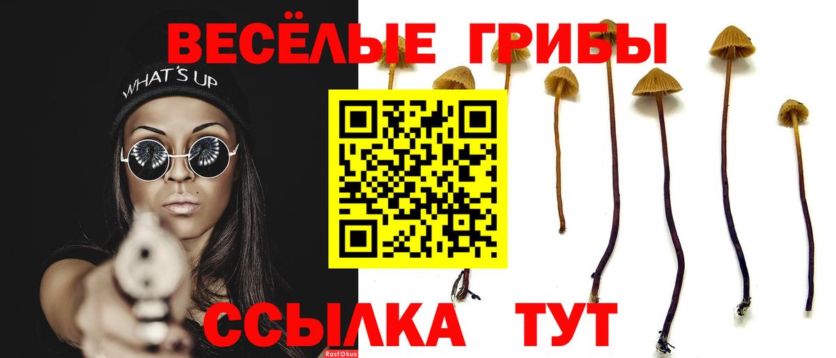 Псилоцибиновые грибы Cubensis Майский